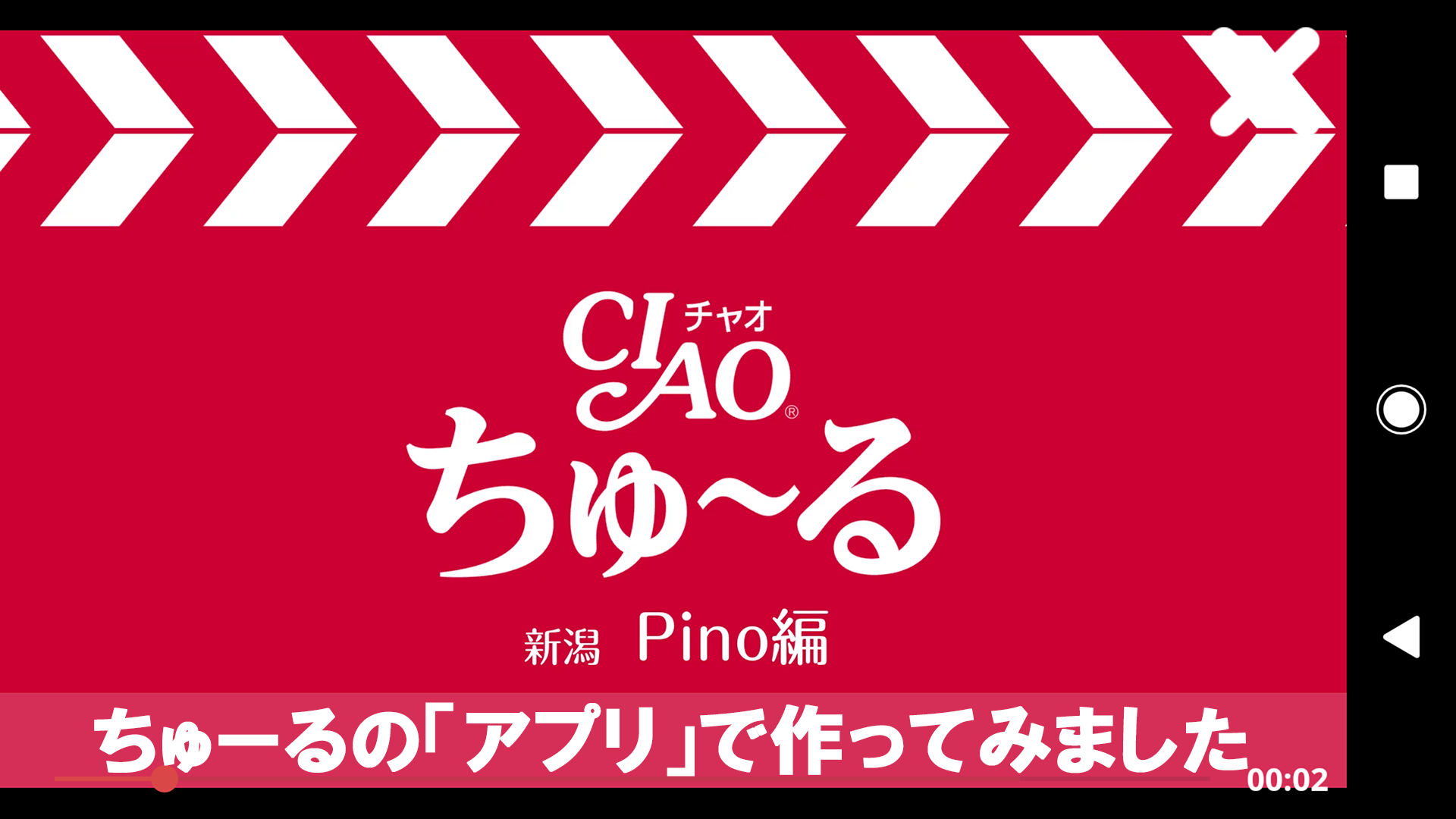 You Tube 猫 Pino の大好物 ちゃおチュールアプリでcm風動画を撮ってみた 3 Gata Love